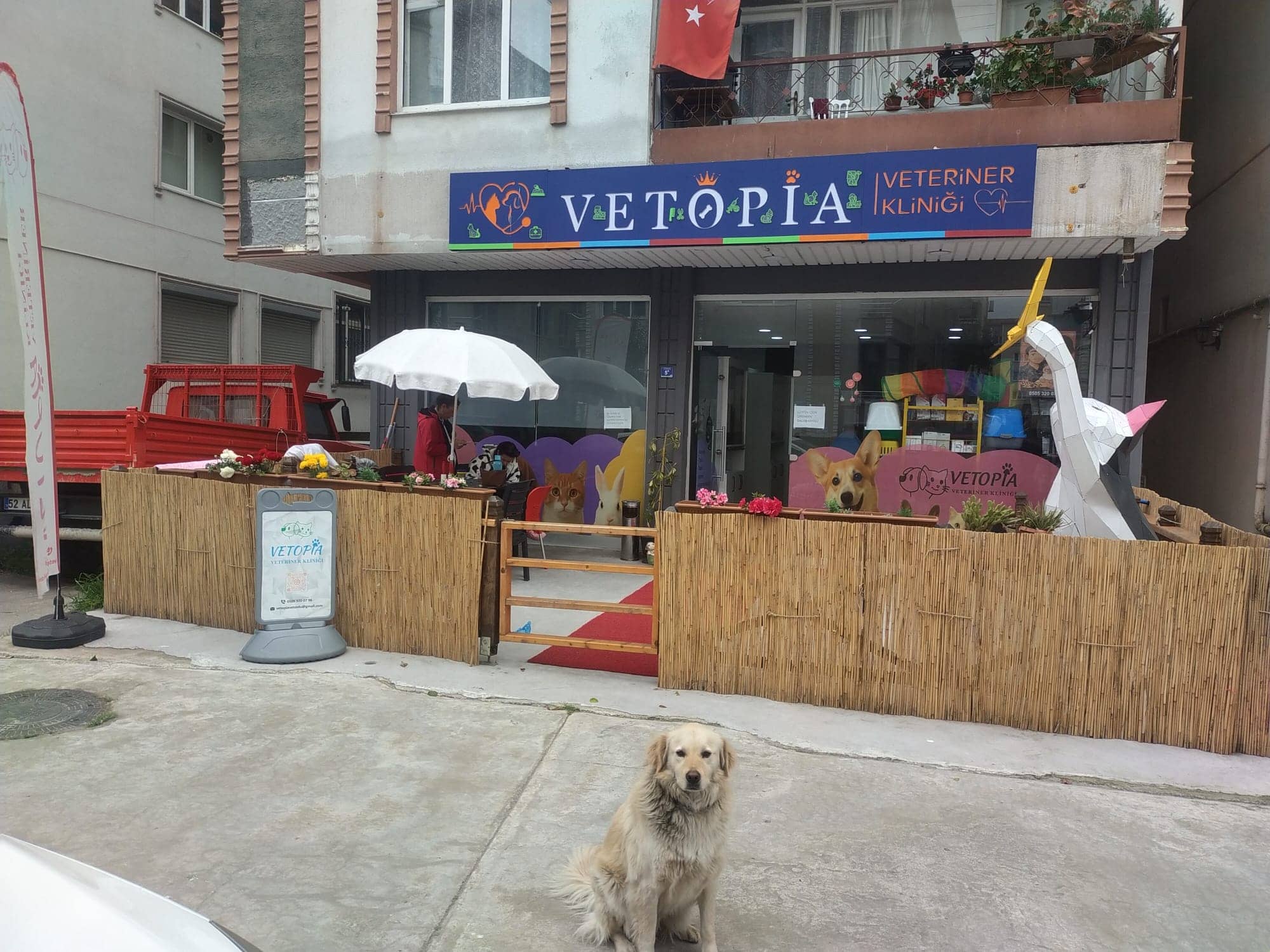 Vetopia Veteriner Kliniği